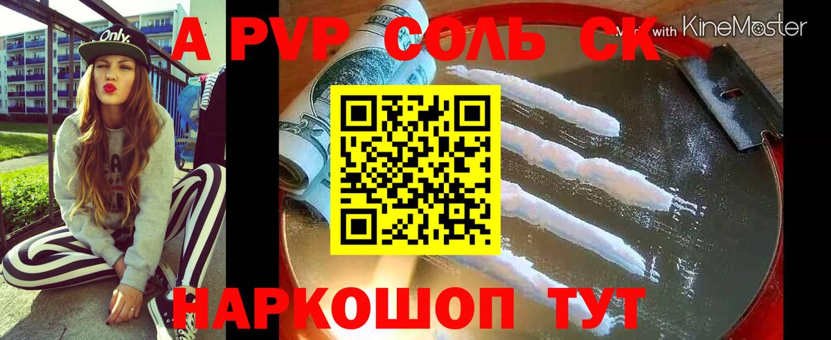 A PVP СК Электрогорск