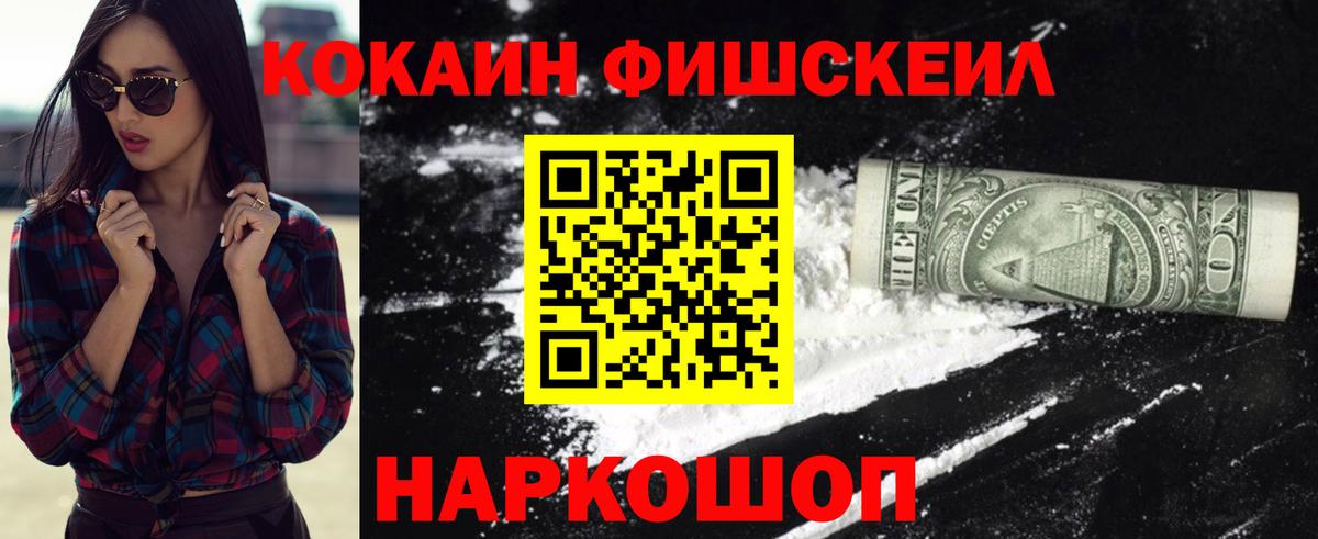 КОКАИН Fish Scale  Вход с VPN  КОКАИН  Cocaine Fish Scale  Электрогорск 
